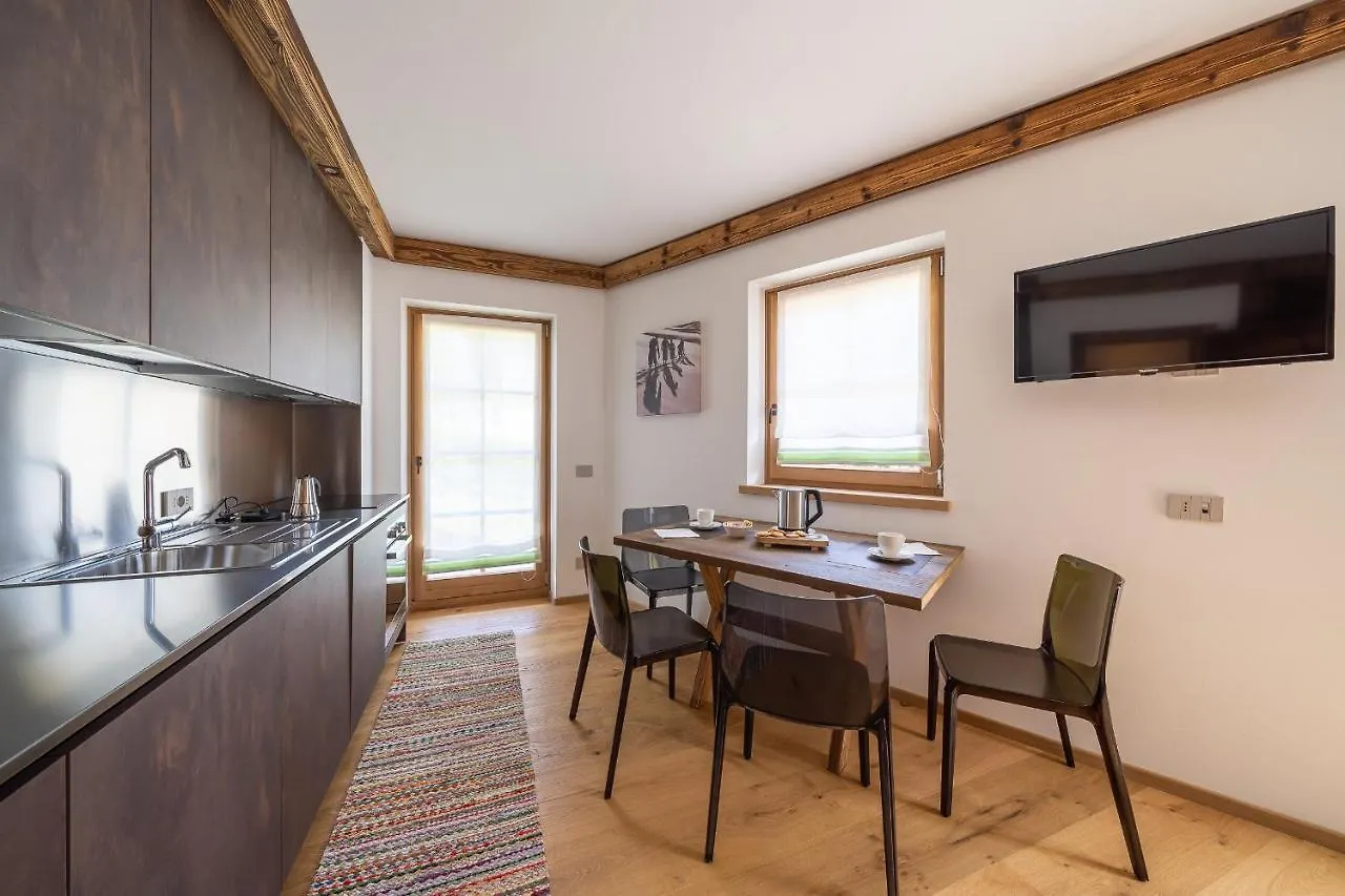 Chalet Ines Vodo Cadore 0*,  Italia